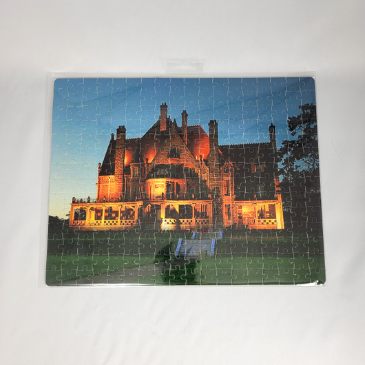 Puzzle Castle At Night